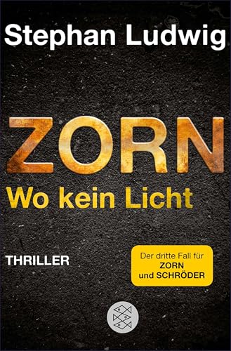 Zorn - Wo kein Licht: Thriller (Zorn 3)