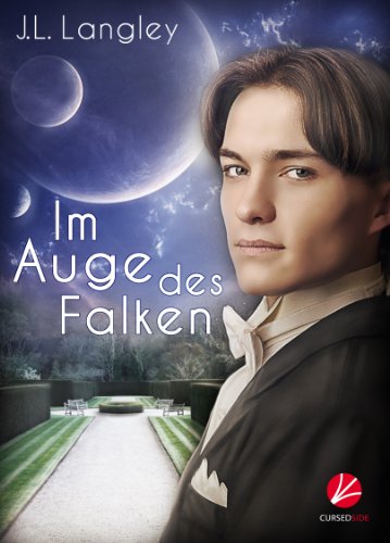 Im Auge des Falken (Regelence-Serie 1)