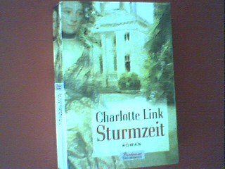 Sturmzeit : Roman. Boulevard-Taschenbuch