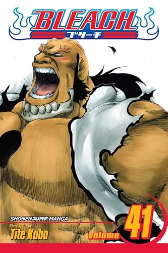 Bleach, Vol. 41: Heart