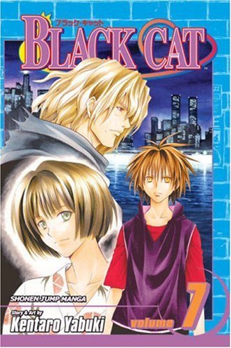 Black Cat, Vol. 7: Time For Vengeance