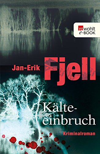 Kälteeinbruch (Kriminalkommissar Anton Brekke 2)