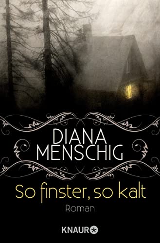 So finster, so kalt: Roman