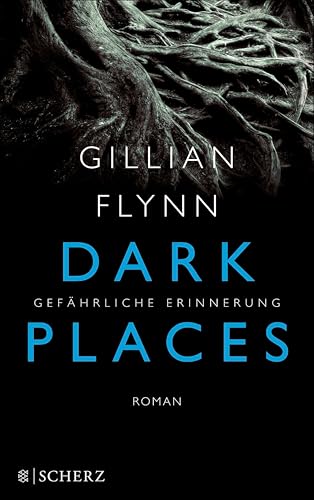 Dark Places - Gefährliche Erinnerung: Thriller (Hochkaräter)