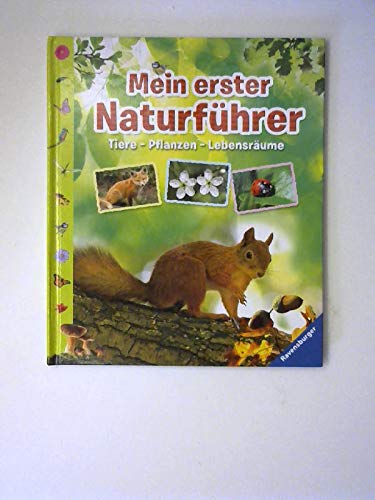 Mein erster Naturführer Tiere Pflanzen Lebensräume