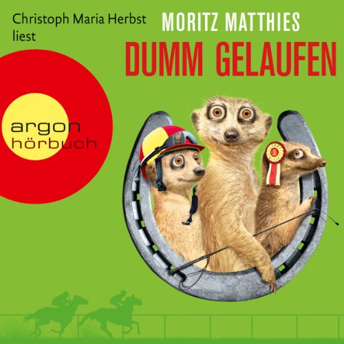 Dumm gelaufen: Ray und Rufus 3