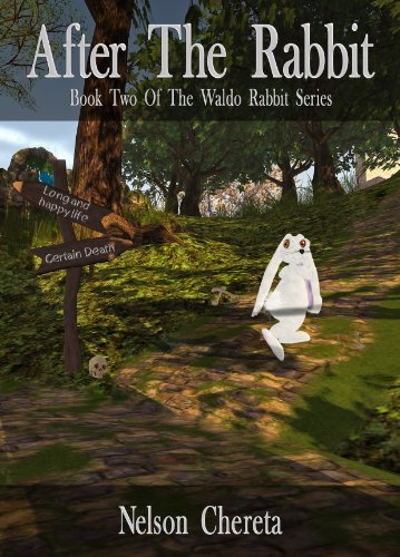 After The Rabbit: Book Two Of The Waldo Rabbit Series
