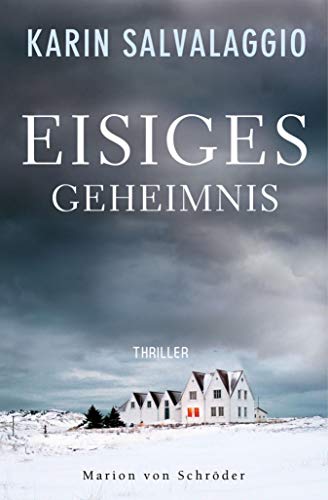 Eisiges Geheimnis: Thriller (Ein Macy-Greeley-Krimi 1)