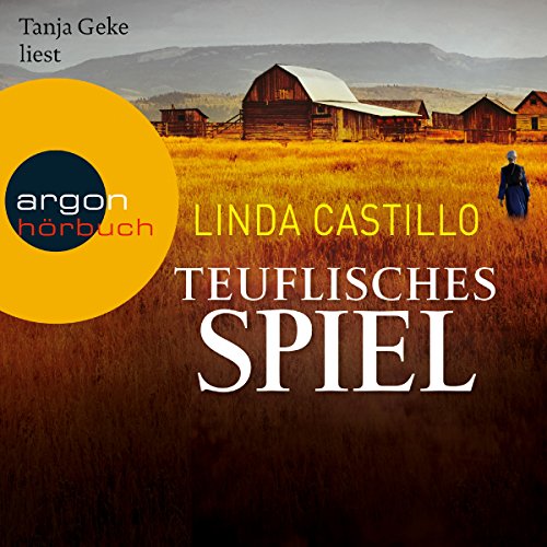 Teuflisches Spiel: Kate Burkholder 5