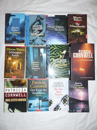 Minette Walters Konvolut **Dunkle Kammern**Die Schandmaske**Das Echo**Wellenbrecher** vier gebundene Bücher