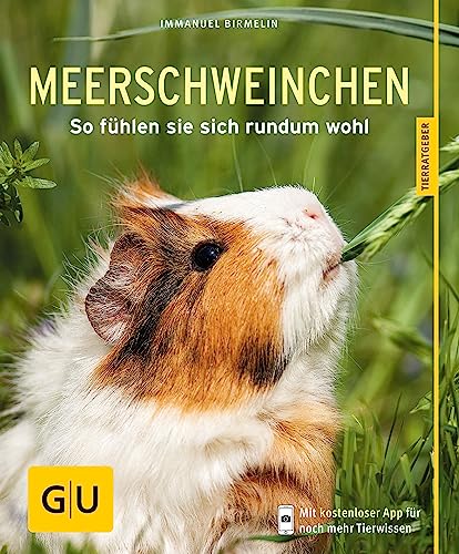 Meerschweinchen: So fühlen sie sich rundum wohl (GU Kleintiere)