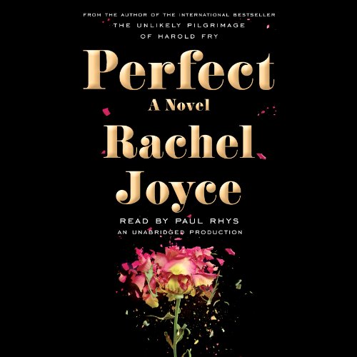 Perfect: A Novel