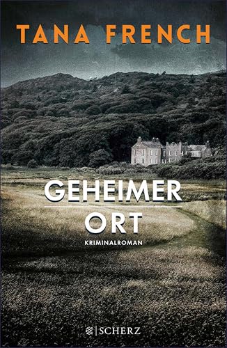 Geheimer Ort: Kriminalroman (Mordkommission Dublin 5)