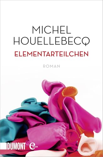 Elementarteilchen: Roman (Taschenbücher)