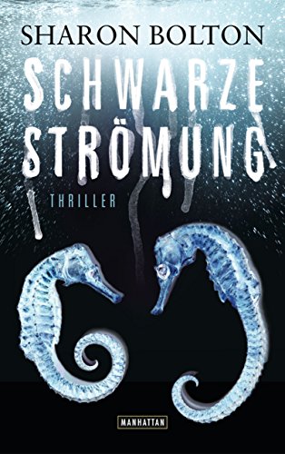 Schwarze Strömung - Lacey Flint 4: Thriller
