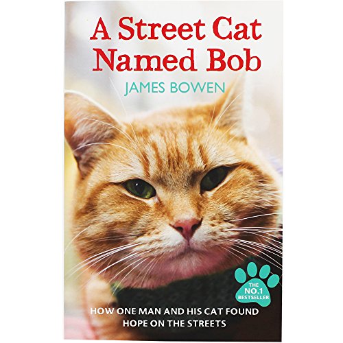 Ein Street Katze namens Bob