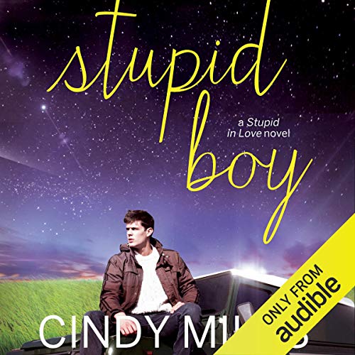 Stupid Boy: Stupid in Love, Book 2