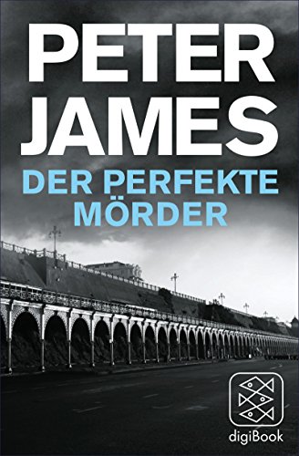 Der perfekte Mörder: Kurzroman