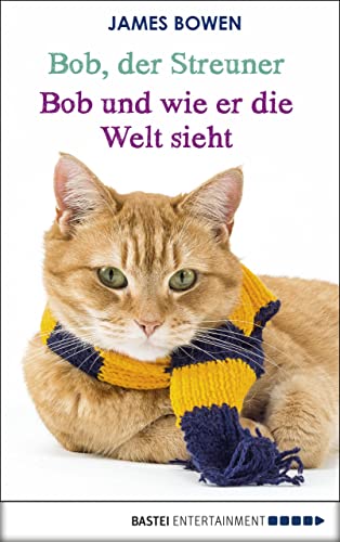 Bob, der Streuner - Bob und wie er die Welt sieht: Die Katze, die mein Leben veränderte (James Bowen Bücher 1)