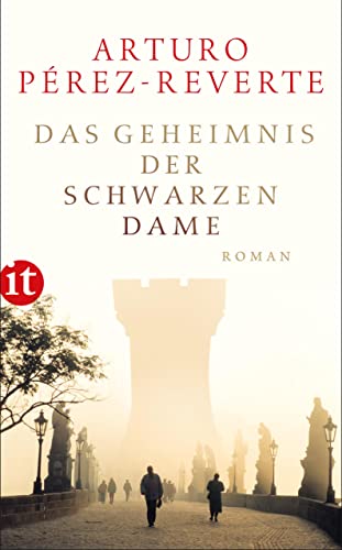 Das Geheimnis der schwarzen Dame: Roman (insel taschenbuch)