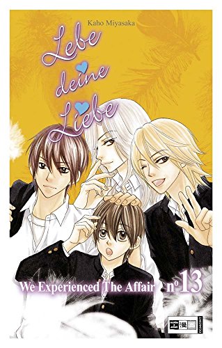Lebe deine Liebe 13: We experienced the Affair von Kaho Miyasaka (12. Juli 2012) Taschenbuch