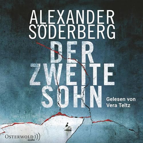 Der zweite Sohn: Sophie-Brinkmann-Trilogie 2