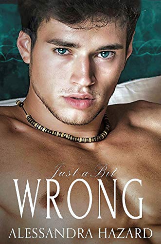 Just a Bit Wrong (Straight Guys Book 4)