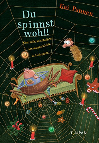 Du spinnst wohl!: Eine außergewöhnliche Adventsgeschichte in 24 Kapiteln (Vorlesebuch)