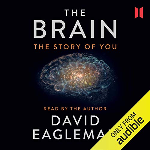 The Brain: The Story of You