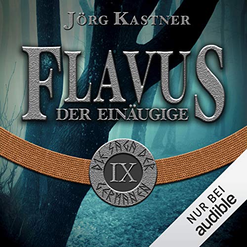 Flavus der Einäugige: Die Saga der Germanen 9