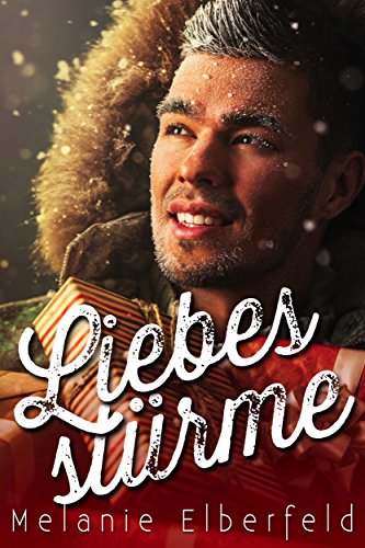 Liebesstürme: Holiday Gay Romance