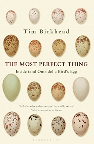 The Most Perfect Thing: Inside (and Outside) a Bird’s Egg