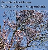 Der alte Kirschbaum