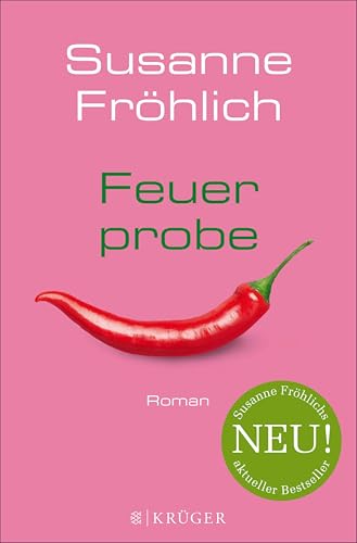 Feuerprobe: Roman (Ein Andrea Schnidt Roman 8)