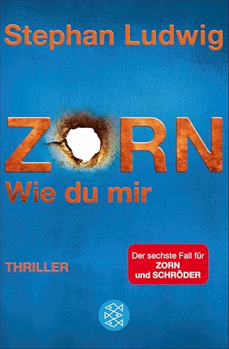 Zorn - Wie du mir: Thriller (Zorn 6)