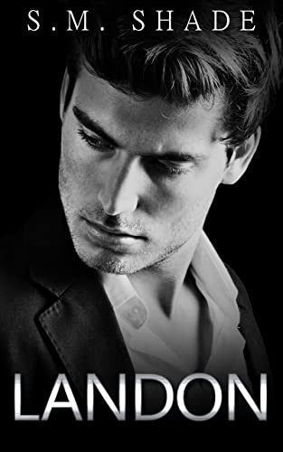 Landon (In Safe Hands Book 1)