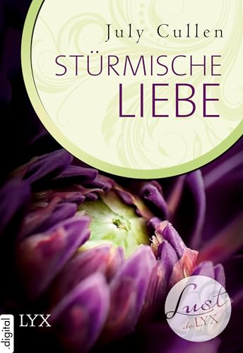 Lust de LYX - Stürmische Liebe (Lust-de-LYX-Reihe 20)