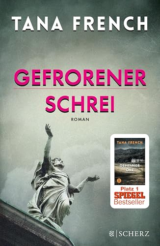Gefrorener Schrei: Roman (Mordkommission Dublin 6)