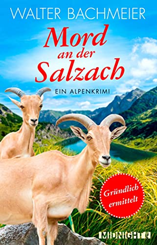 Mord an der Salzach: Ein Alpenkrimi (Ein-Tina-Gründlich-Krimi 2)