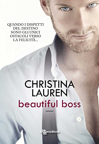 Beautiful boss (Beautiful Bastard)