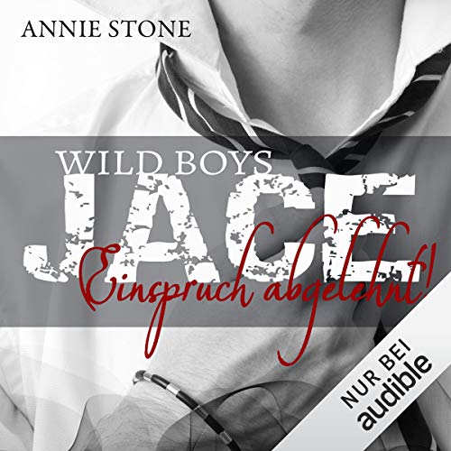 JACE - Einspruch abgelehnt!: Wild Boys 1