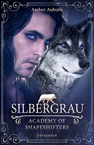 Silbergrau, Episode 9 - Fantasy-Serie (Academy of Shapeshifters)