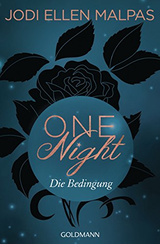 One Night - Die Bedingung: Erotischer Roman (Die One Night-Saga 1)