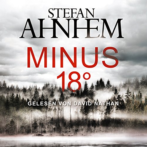 Minus 18 Grad: Ein Fabian-Risk-Krimi 3