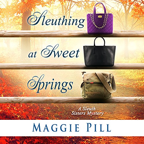 Sleuthing at Sweet Springs: The Sleuth Sisters Mysteries, Book 4