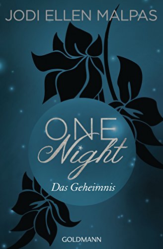 One Night - Das Geheimnis: Erotischer Roman (Die One Night-Saga 2)