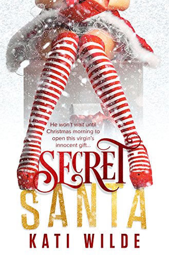Secret Santa (Hot Holidays) (English Edition)