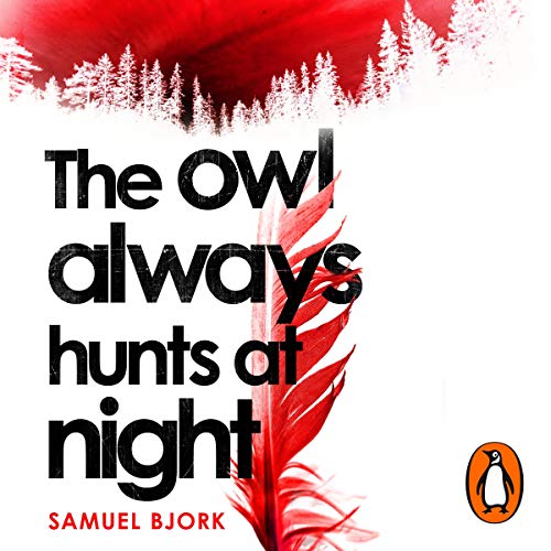 The Owl Always Hunts At Night: Holger Munch & Mia Kruger, Book 2