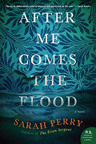After Me Comes the Flood: A Novel (English Edition)