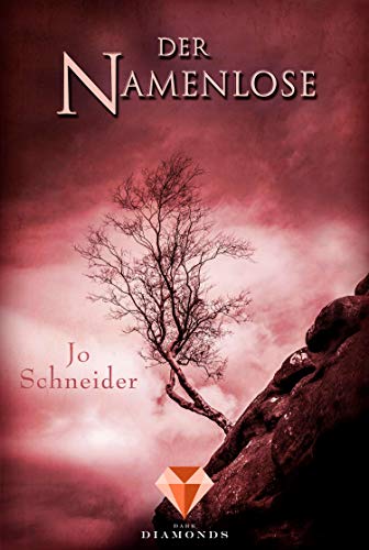 Der Namenlose (Die Unbestimmten 2): Bildgewaltiger Fantasyroman